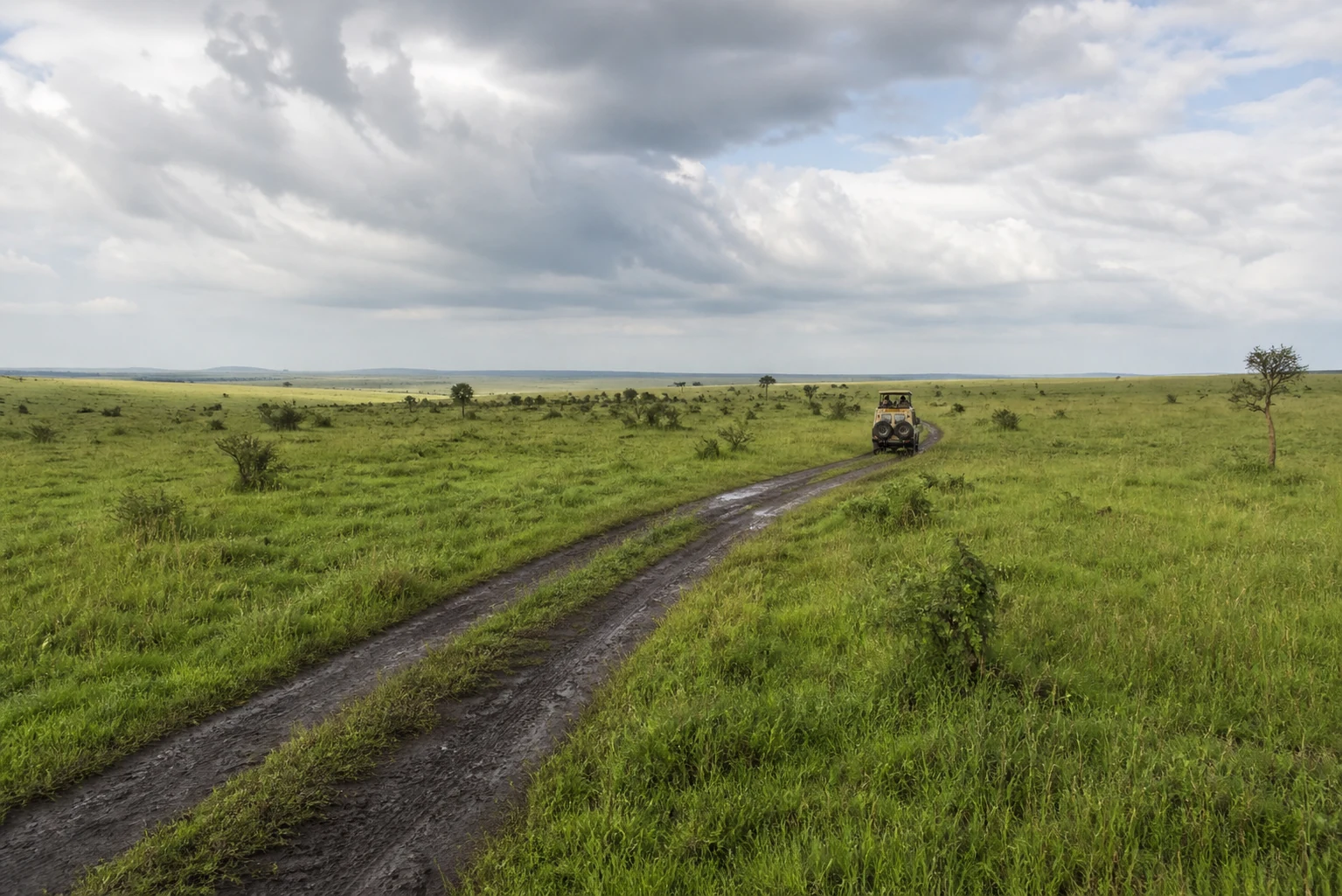 A safari vehicle following a rain-darkened track across green grassland beneath broken cloud